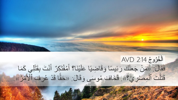 اَلْخُرُوجُ 2:14 AVD Bible Verse Image