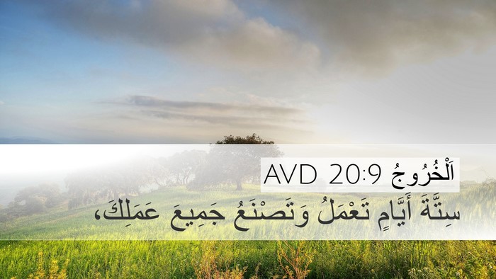 اَلْخُرُوجُ 20:9 AVD Bible Verse Image