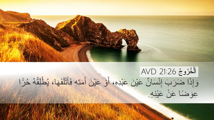 اَلْخُرُوجُ 21:26 AVD Bible Verse Image