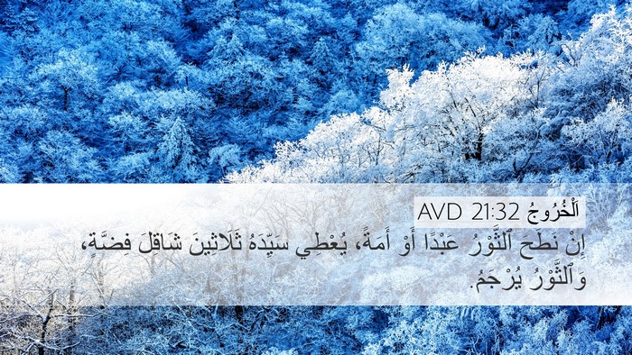 اَلْخُرُوجُ 21:32 AVD Bible Verse Image