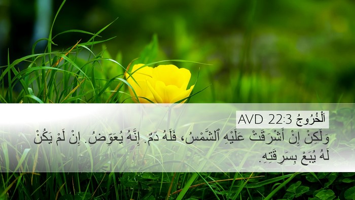 اَلْخُرُوجُ 22:3 AVD Bible Verse Image