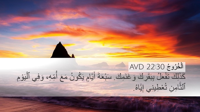 اَلْخُرُوجُ 22:30 AVD Bible Verse Image