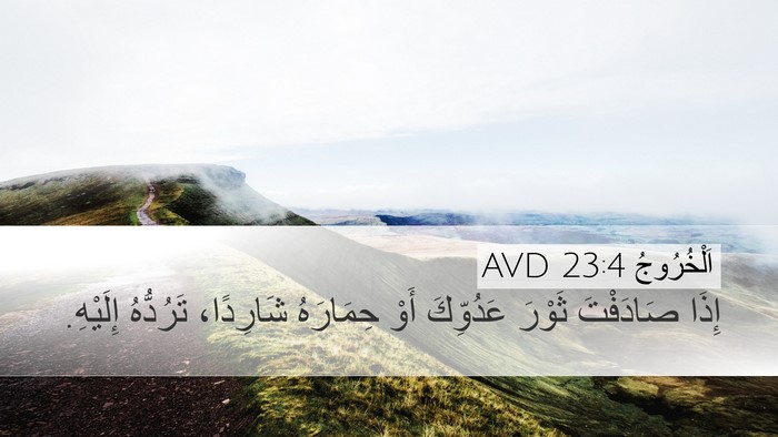 اَلْخُرُوجُ 23:4 AVD Bible Verse Image