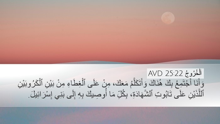 اَلْخُرُوجُ 25:22 AVD Bible Verse Image