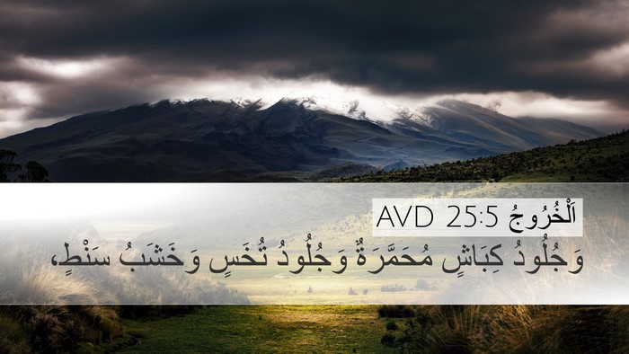 اَلْخُرُوجُ 25:5 AVD Bible Verse Image