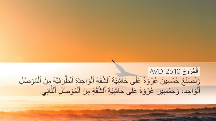 اَلْخُرُوجُ 26:10 AVD Bible Verse Image