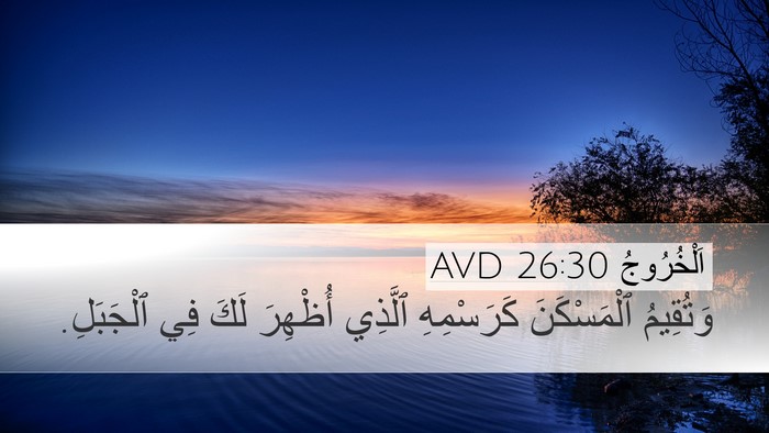 اَلْخُرُوجُ 26:30 AVD Bible Verse Image