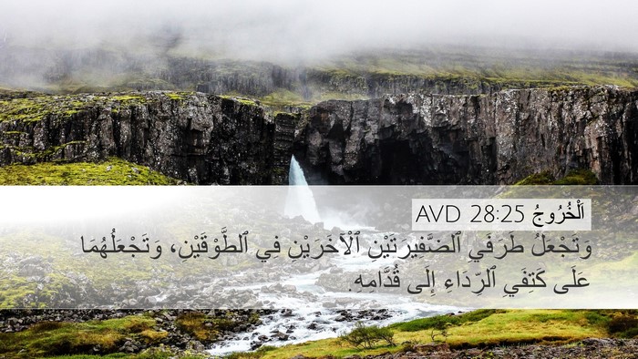 اَلْخُرُوجُ 28:25 AVD Bible Verse Image