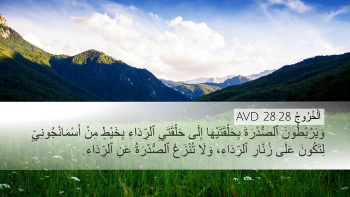 اَلْخُرُوجُ 28:28 AVD Desktop Wallpaper - وَيَرْبُطُونَ ٱلصُّدْرَةَ - Desktop Bible Verse Wallpaper