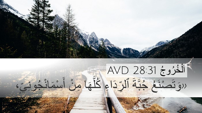 اَلْخُرُوجُ 28:31 AVD Bible Verse Image