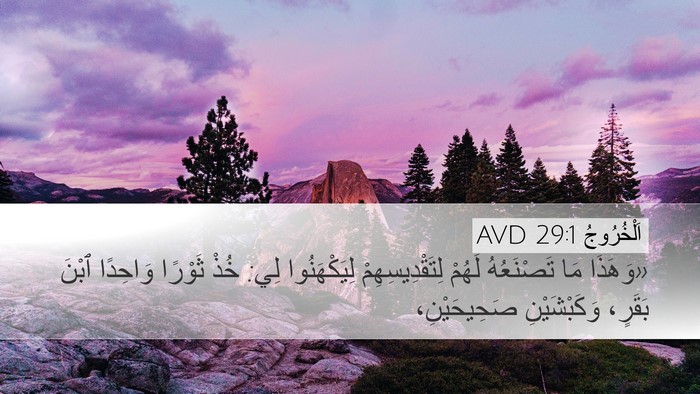 اَلْخُرُوجُ 29:1 AVD Bible Verse Image