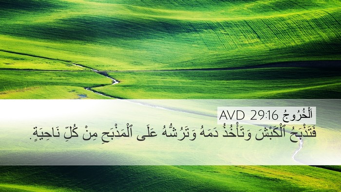 اَلْخُرُوجُ 29:16 AVD Bible Verse Image