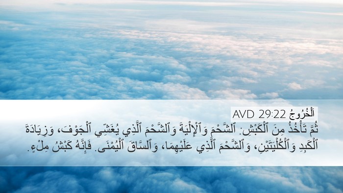 اَلْخُرُوجُ 29:22 AVD Bible Verse Image