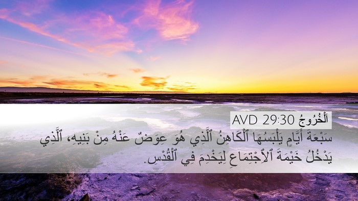 اَلْخُرُوجُ 29:30 AVD Bible Verse Image