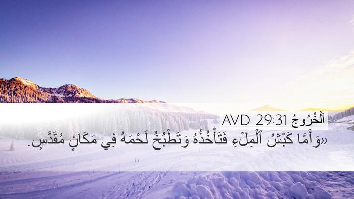 اَلْخُرُوجُ 29:31 AVD Bible Verse Image