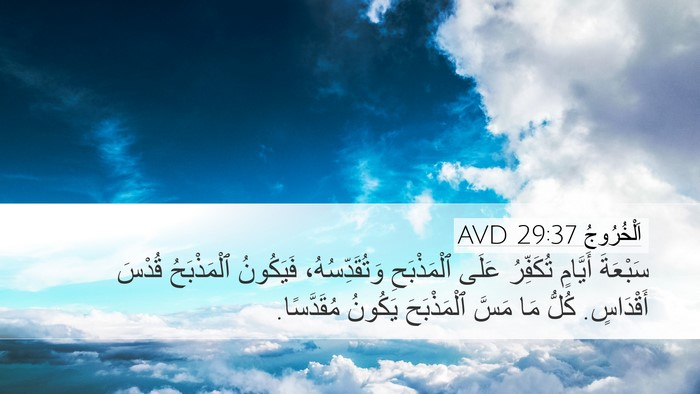 اَلْخُرُوجُ 29:37 AVD Bible Verse Image
