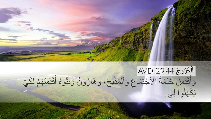 اَلْخُرُوجُ 29:44 AVD Bible Verse Image