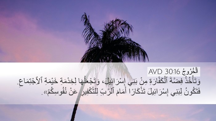 اَلْخُرُوجُ 30:16 AVD Bible Verse Image