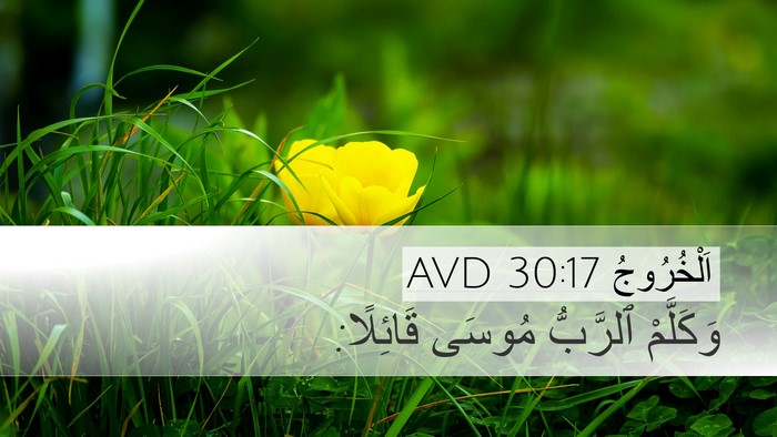 اَلْخُرُوجُ 30:17 AVD Desktop Wallpaper - وَكَلَّمْ ٱلرَّبُّ مُوسَى - Desktop Bible Verse Wallpaper