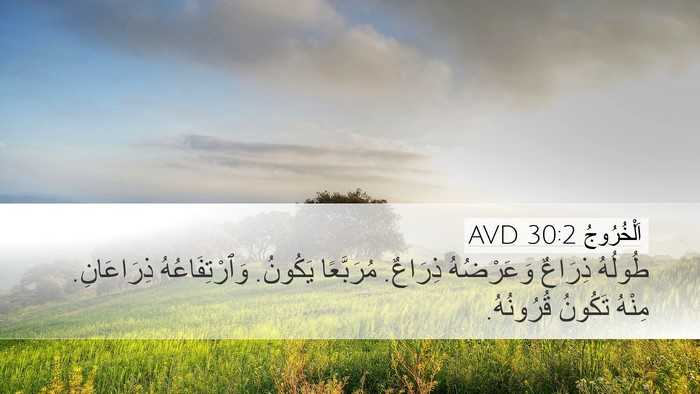 اَلْخُرُوجُ 30:2 AVD Desktop Wallpaper - طُولُهُ ذِرَاعٌ - Desktop Bible Verse Wallpaper