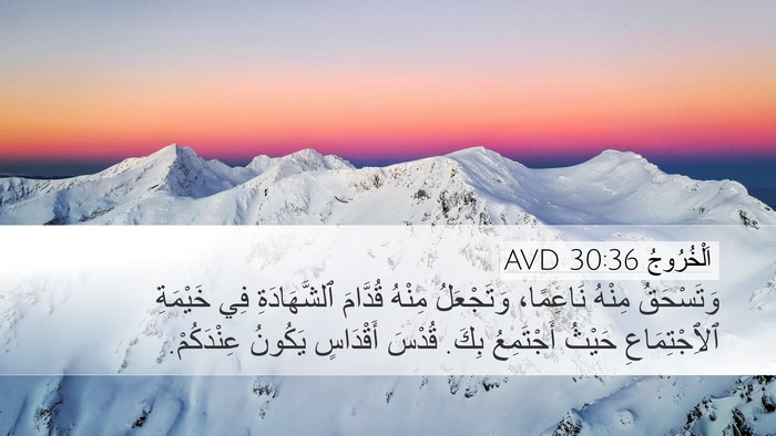 اَلْخُرُوجُ 30:36 AVD Bible Verse Image