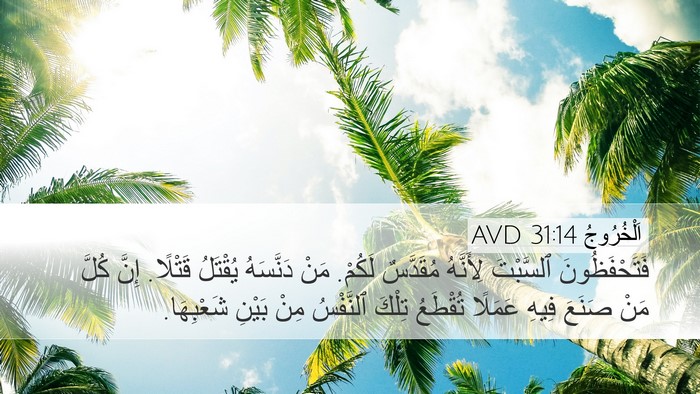 اَلْخُرُوجُ 31:14 AVD Bible Verse Image