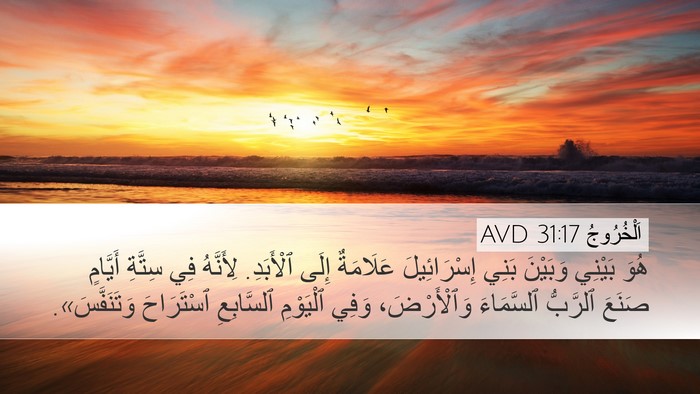 اَلْخُرُوجُ 31:17 AVD Bible Verse Image