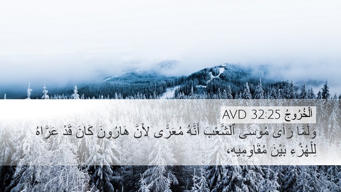 اَلْخُرُوجُ 32:25 AVD Bible Verse Image