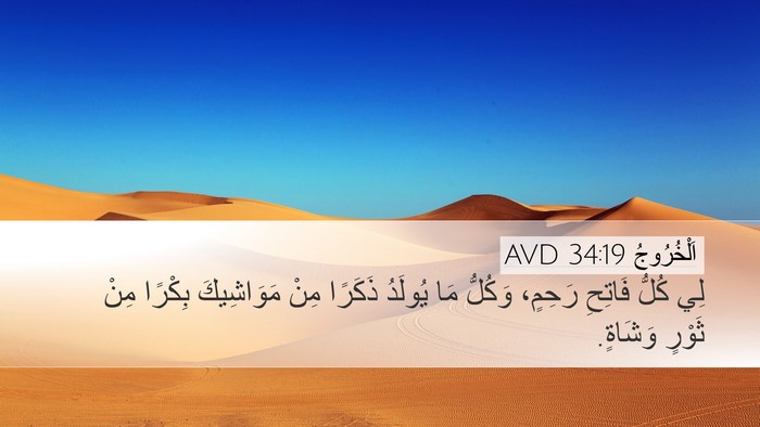 اَلْخُرُوجُ 34:19 AVD Bible Verse Image