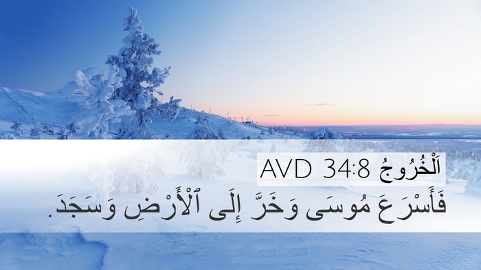 اَلْخُرُوجُ 34:8 AVD Bible Verse Image