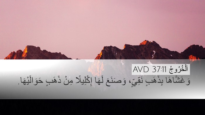 اَلْخُرُوجُ 37:11 AVD Desktop Wallpaper - وَغَشَّاهَا بِذَهَبٍ - Desktop Bible Verse Wallpaper