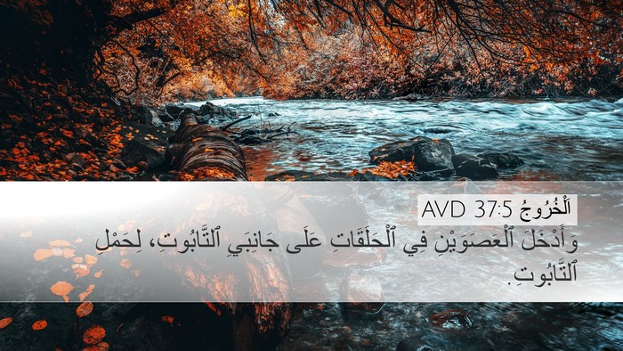 اَلْخُرُوجُ 37:5 AVD Desktop Wallpaper - وَأَدْخَلَ ٱلْعَصَوَيْنِ - Desktop Bible Verse Wallpaper