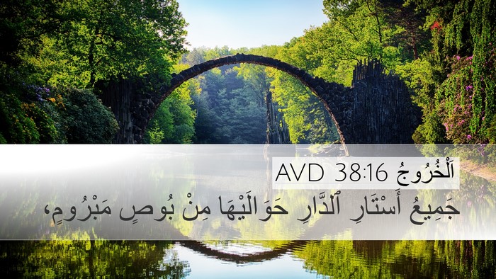 اَلْخُرُوجُ 38:16 AVD Desktop Wallpaper - جَمِيعُ أَسْتَارِ - Desktop Bible Verse Wallpaper