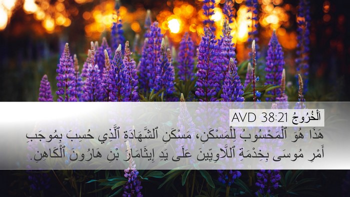 اَلْخُرُوجُ 38:21 AVD Bible Verse Image