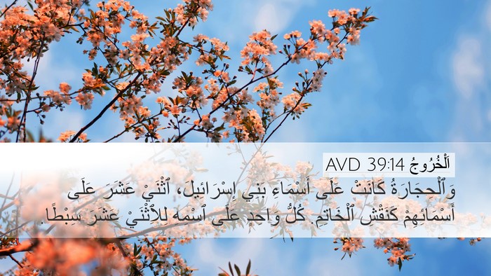 اَلْخُرُوجُ 39:14 AVD Desktop Wallpaper - وَٱلْحِجَارَةُ كَانَتْ - Desktop Bible Verse Wallpaper