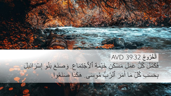 اَلْخُرُوجُ 39:32 AVD Bible Verse Image