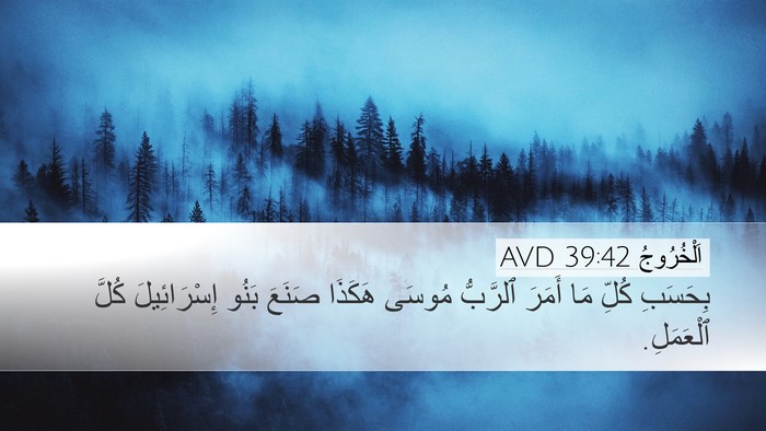اَلْخُرُوجُ 39:42 AVD Bible Verse Image