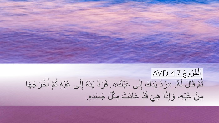 اَلْخُرُوجُ 4:7 AVD Bible Verse Image
