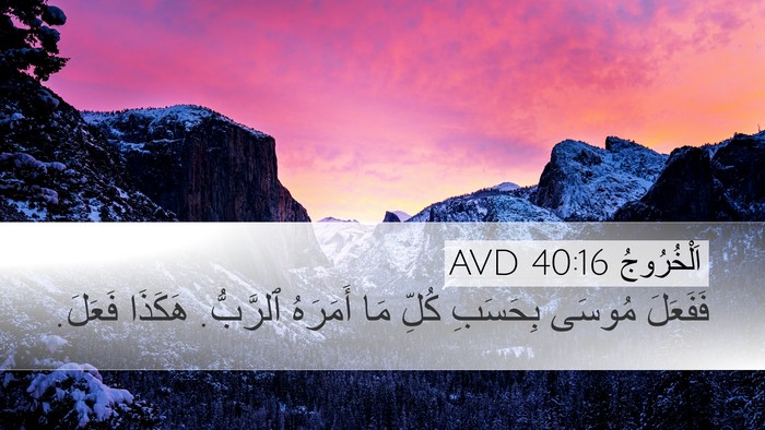 اَلْخُرُوجُ 40:16 AVD Bible Verse Image