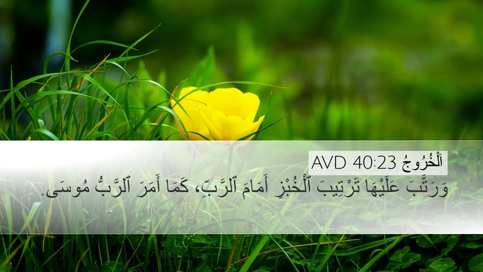 اَلْخُرُوجُ 40:23 AVD Bible Verse Image