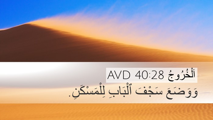 اَلْخُرُوجُ 40:28 AVD Bible Verse Image