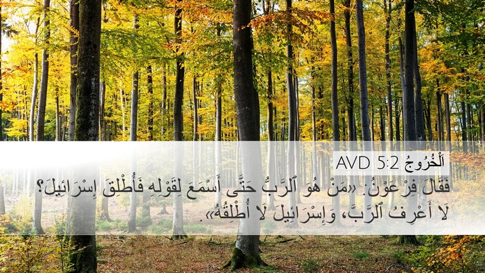 اَلْخُرُوجُ 5:2 AVD Bible Verse Image