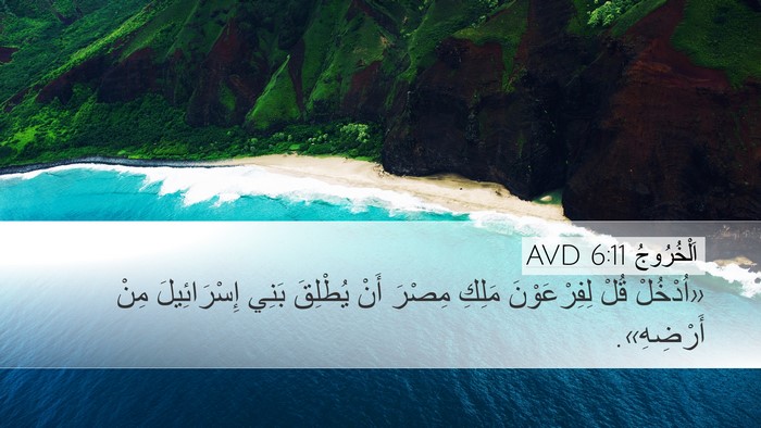 اَلْخُرُوجُ 6:11 AVD Desktop Wallpaper - «اُدْخُلْ قُلْ - Desktop Bible Verse Wallpaper