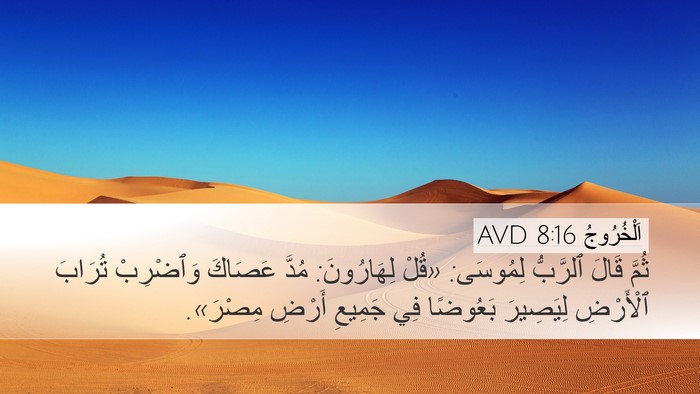 اَلْخُرُوجُ 8:16 AVD Desktop Wallpaper - ثُمَّ قَالَ ٱلرَّبُّ - Desktop Bible Verse Wallpaper