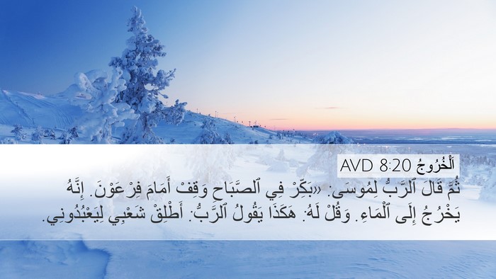 اَلْخُرُوجُ 8:20 AVD Bible Verse Image