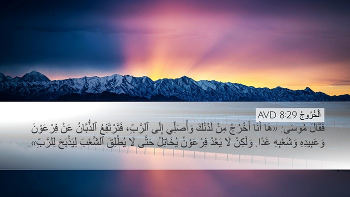 اَلْخُرُوجُ 8:29 AVD Bible Verse Image