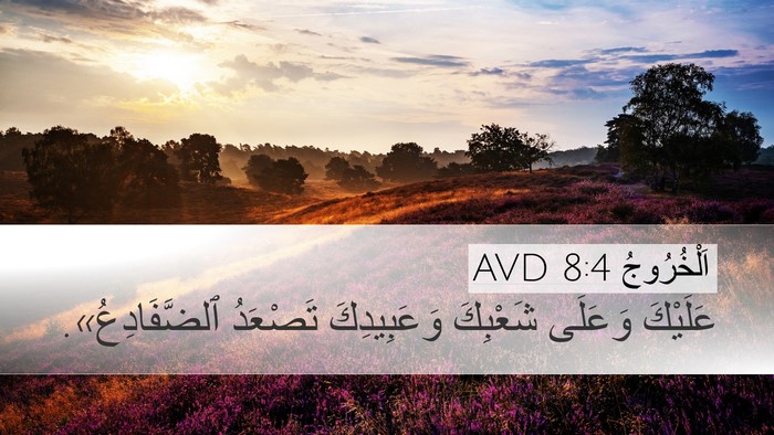 اَلْخُرُوجُ 8:4 AVD Desktop Wallpaper - عَلَيْكَ وَعَلَى شَعْبِكَ - Desktop Bible Verse Wallpaper