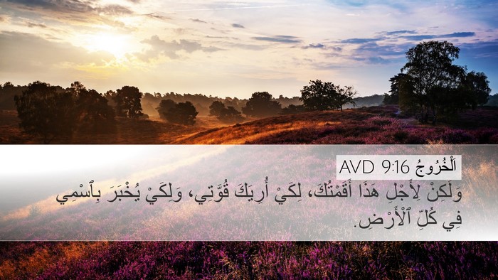 اَلْخُرُوجُ 9:16 AVD Bible Verse Image
