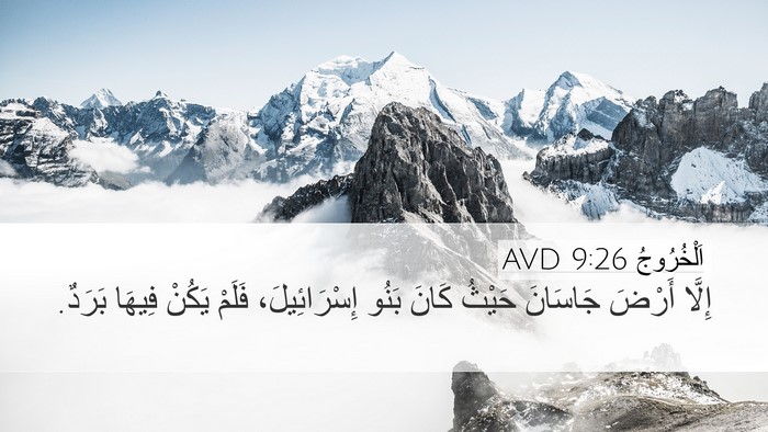 اَلْخُرُوجُ 9:26 AVD Bible Verse Image