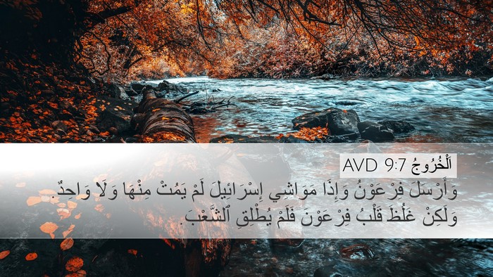 اَلْخُرُوجُ 9:7 AVD Desktop Wallpaper - وَأَرْسَلَ فِرْعَوْنُ - Desktop Bible Verse Wallpaper